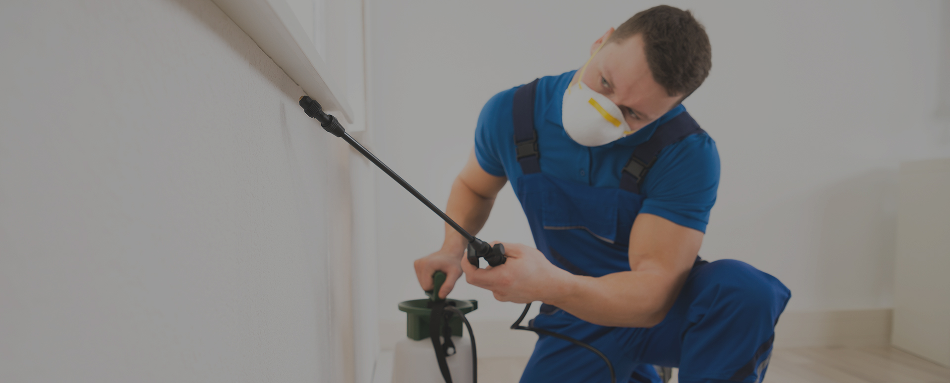 Home - KILLER B’S TOTAL PEST CONTROL